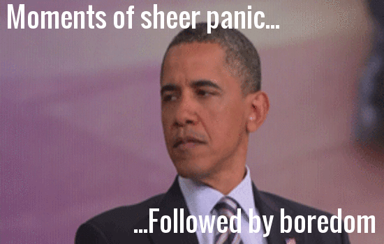 146162790356449 (1).gif